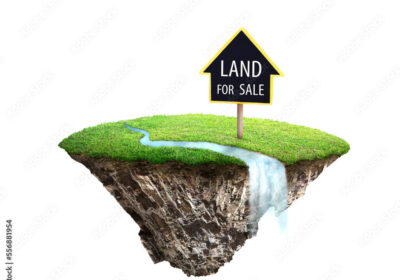 1000_F_556881954_byyHHEXmzegAvcqMHAbPhvbwYNxECeyA