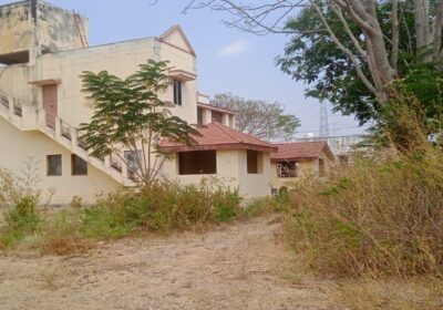 3c06dfd1-f7ec-4b8c-8d5a-ff2fb1e09596