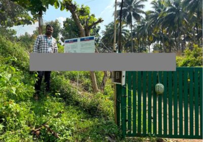 50953341-2303-49ec-9863-afd4510941e9