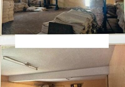 60412fef-243b-4ab8-901a-1f770078d7eb