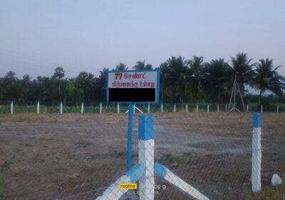 WhatsApp-Image-2025-03-02-at-11.26.53-AM