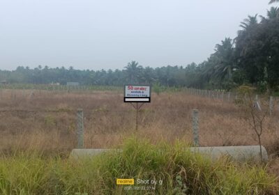 WhatsApp-Image-2025-03-04-at-4.21.07-PM