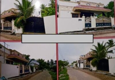 a4e11c72-3052-4ad6-97ab-dec1449117f5