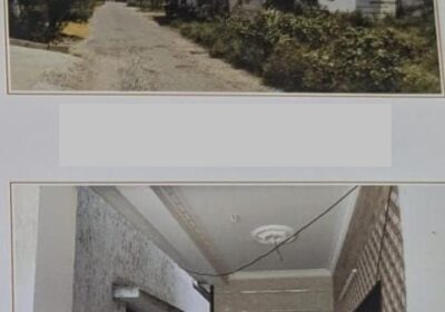 df6d4810-9a81-4300-b61a-032a4f4cde14