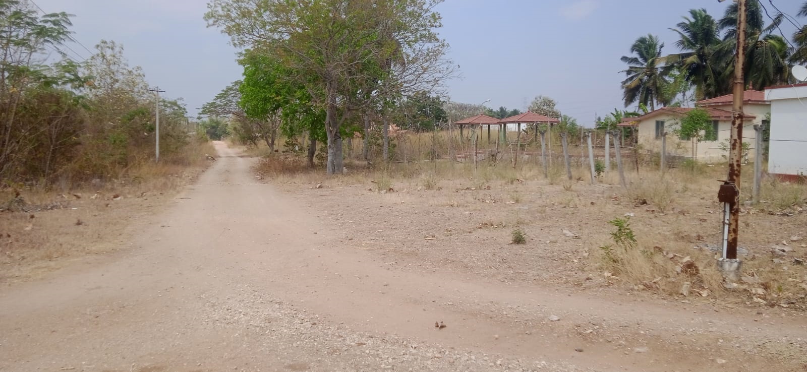 ஓசூர் பஸ் நிலையத்திற்கு மிக மிக அருகில் 95 செண்ட் ஒரே சதுரமாக பெங்களூர் பைபாஸில் ( பழைய கமர்ஷியல் பில்டிங்) விற்பனைக்கு உள்ளது