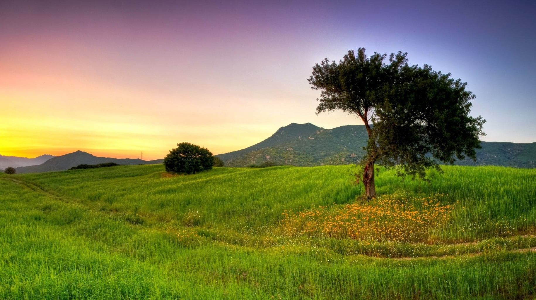 பண்ணை நிலம்