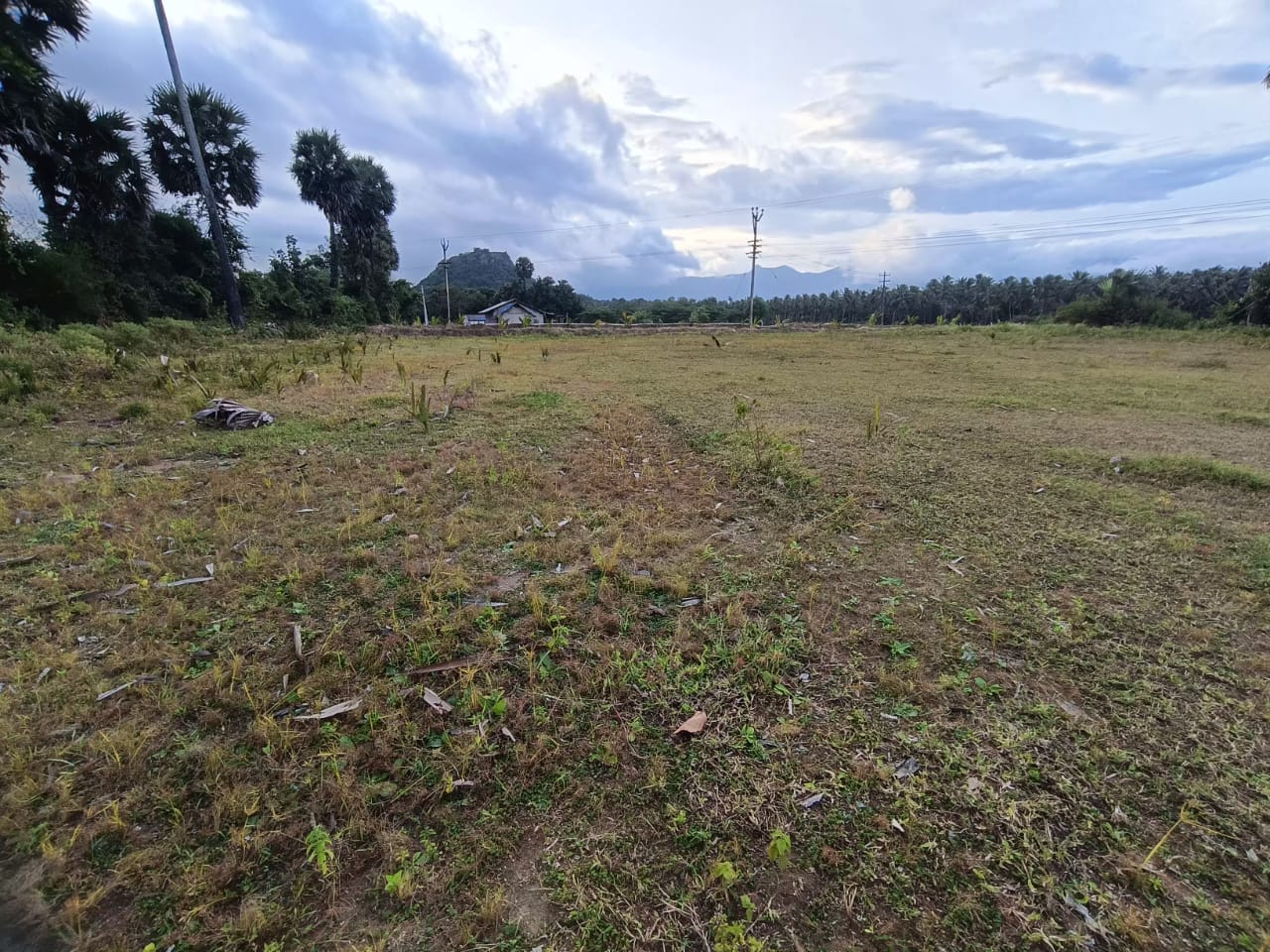 marichettipathy Coimbatore LAND SALE