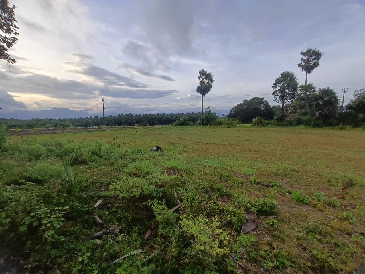 marichettipathy Coimbatore LAND SALE